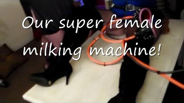 Tôi yêu âm hộ của tôi 15 han quoc xxx